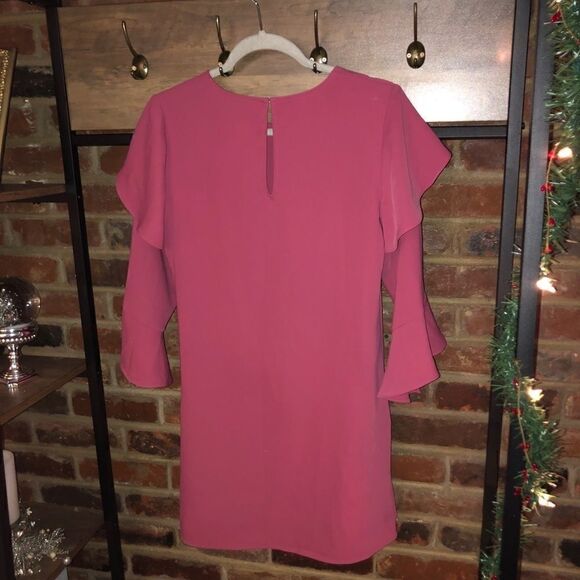 Express Pink Ruffle Long Sleeve Dress - Sz XS - Picture 11 of 15